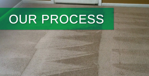 Xtreme Dry Carpet Cleaning Myrtle Beach Process
