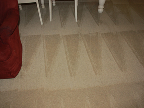 Myrtle Beach Professional Carpet Cleaning