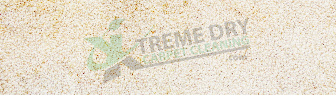 Xtreme Dry Carpet Cleaning