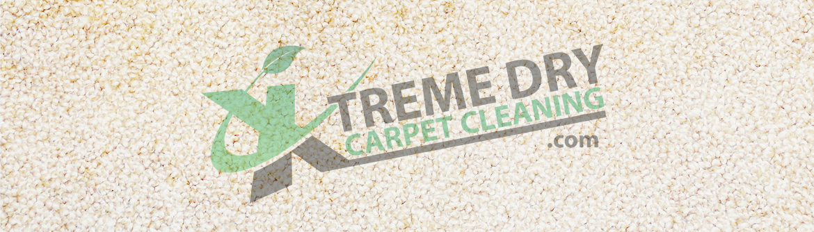 Xtreme Dry Carpet Cleaning